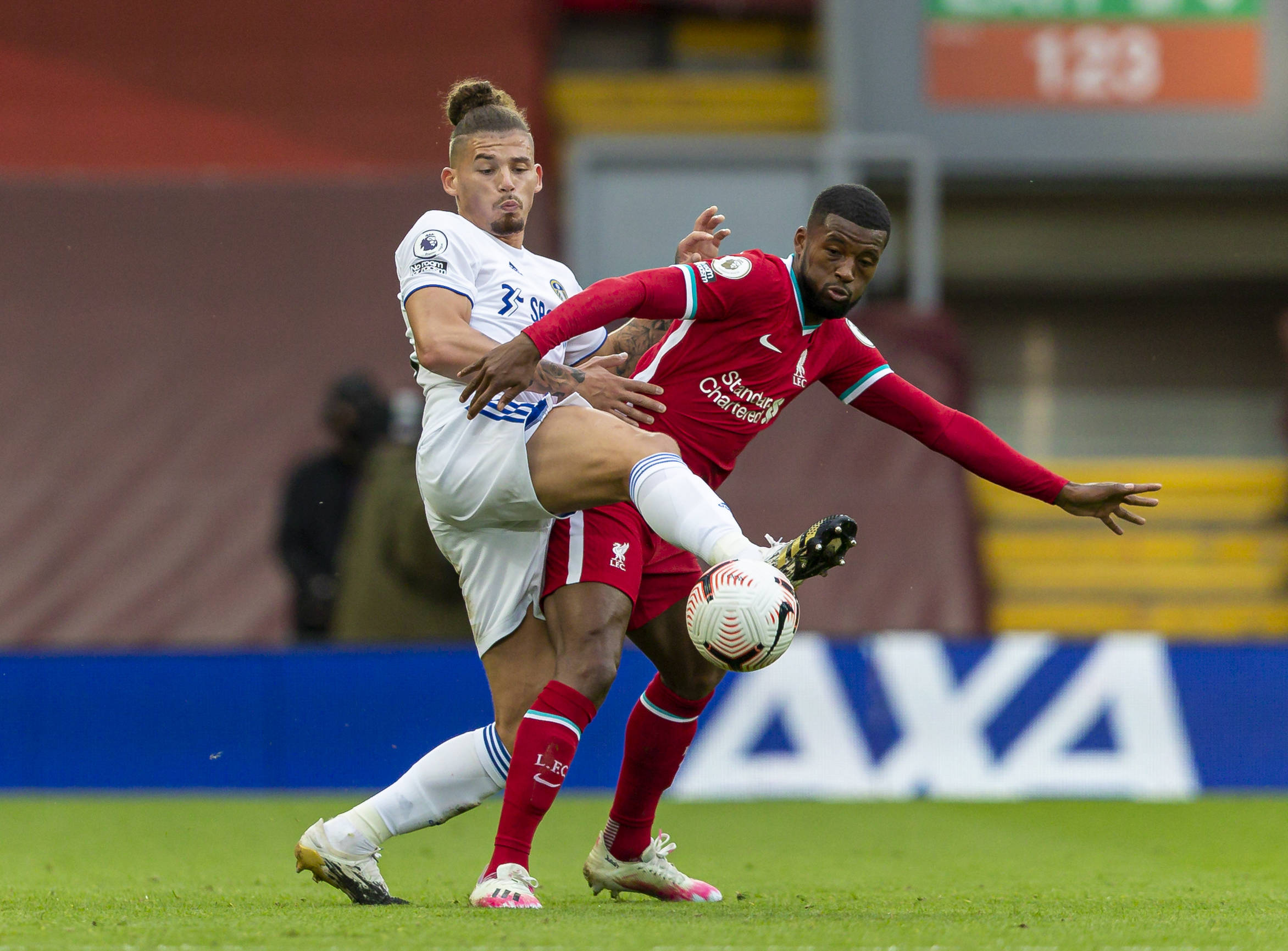 般的精神共 般的精神共